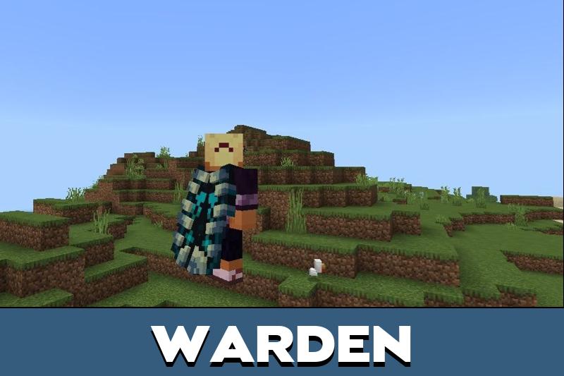 Elytra 3