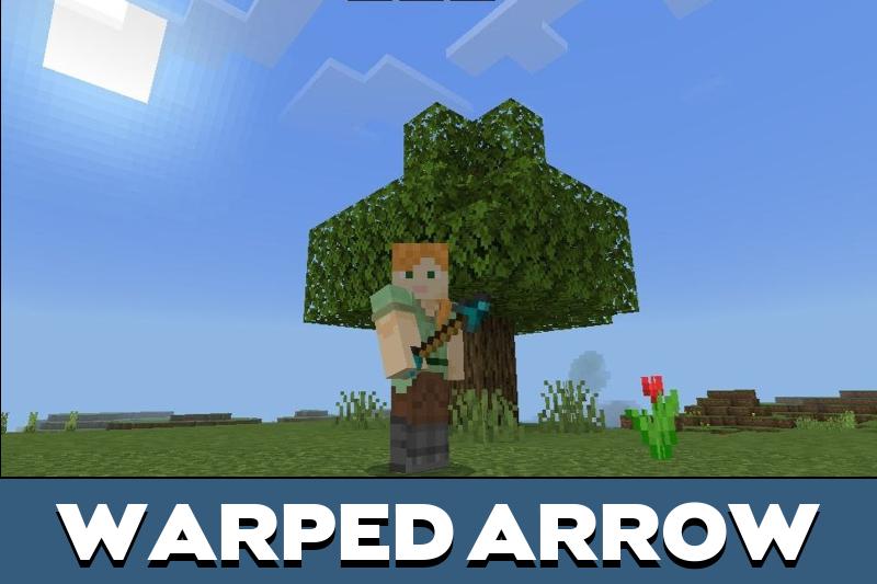 Arrows 1