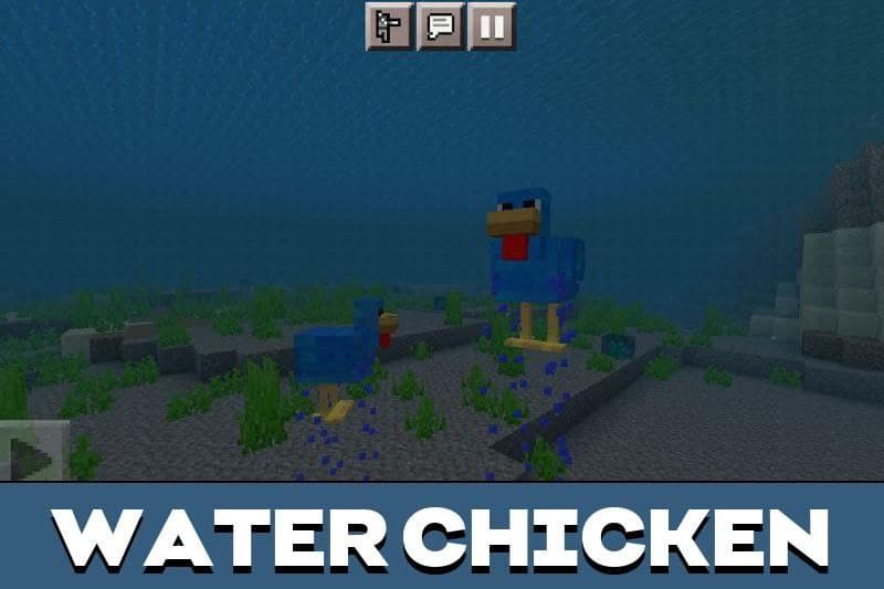 Chicken 2