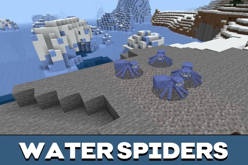 Spider 1