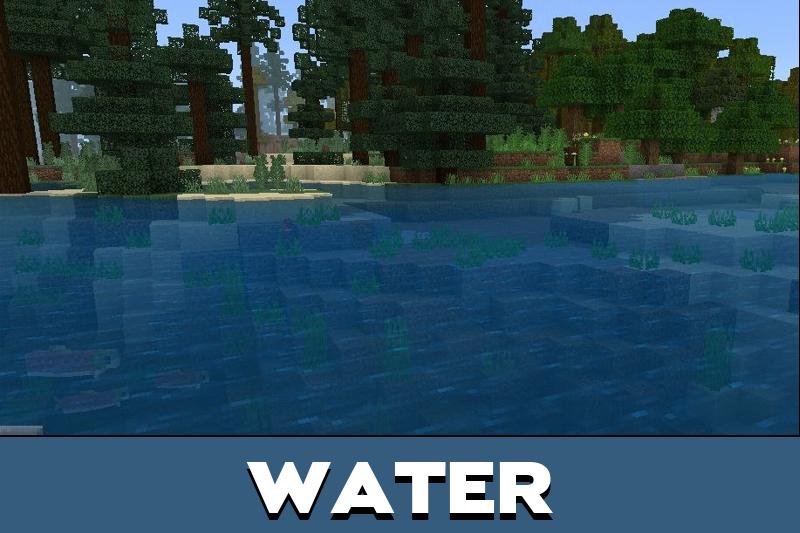 Swamp 3