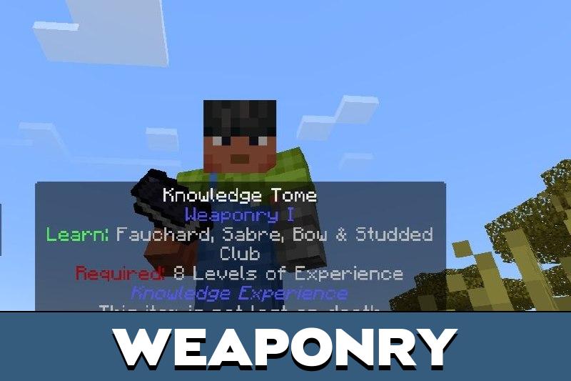 Knowledge Experience 1