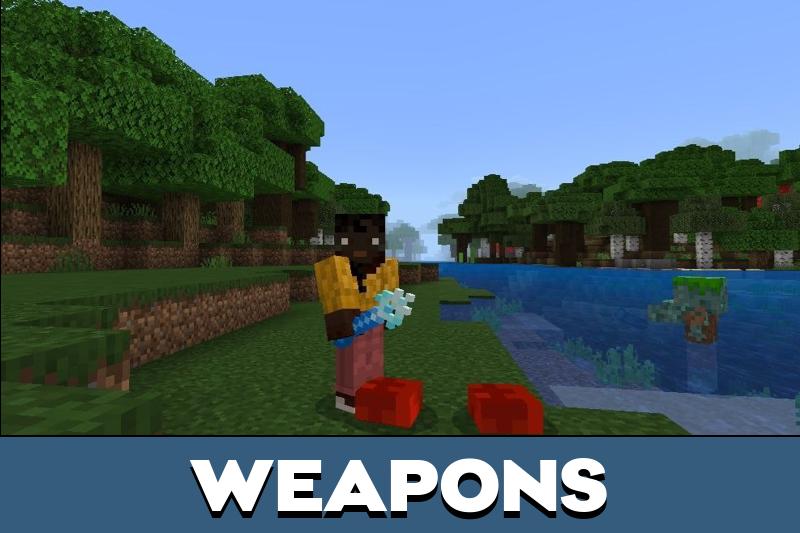 Illager 5