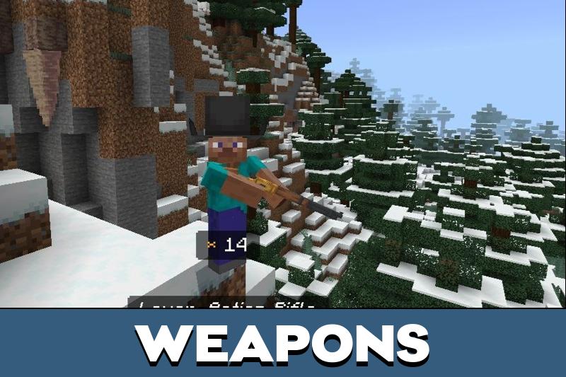 Wild West 5