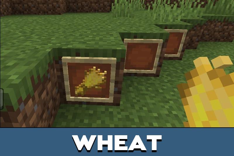 Crops Texture Pack 1