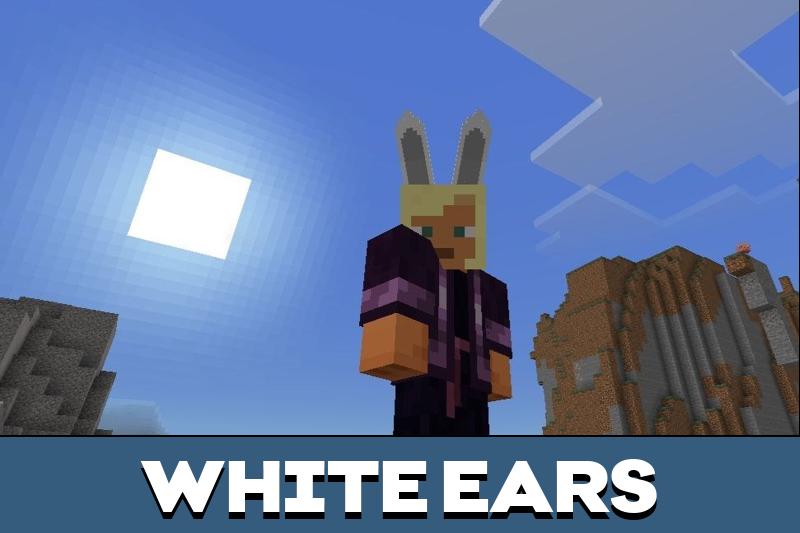Rabbit 2