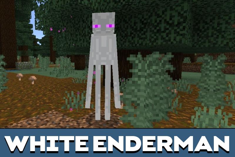 Ender Phantom 1