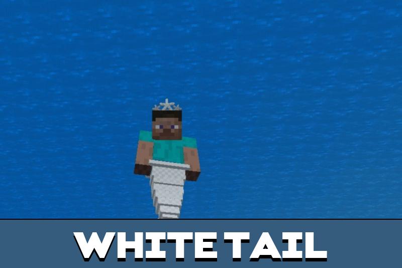 Tail 1