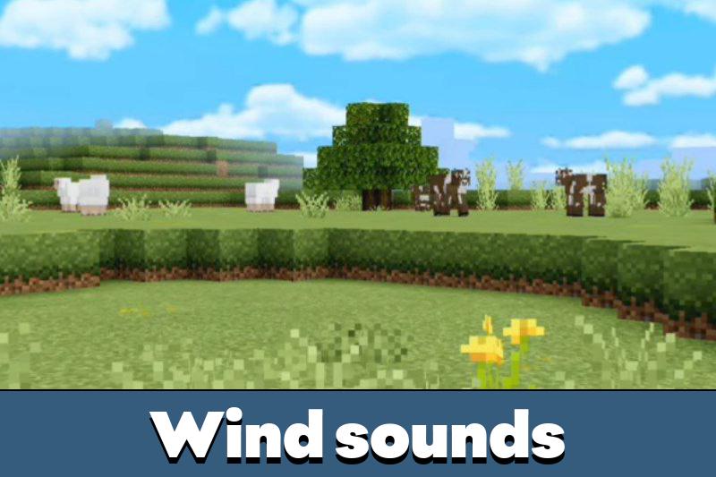 Ambient Sounds 3