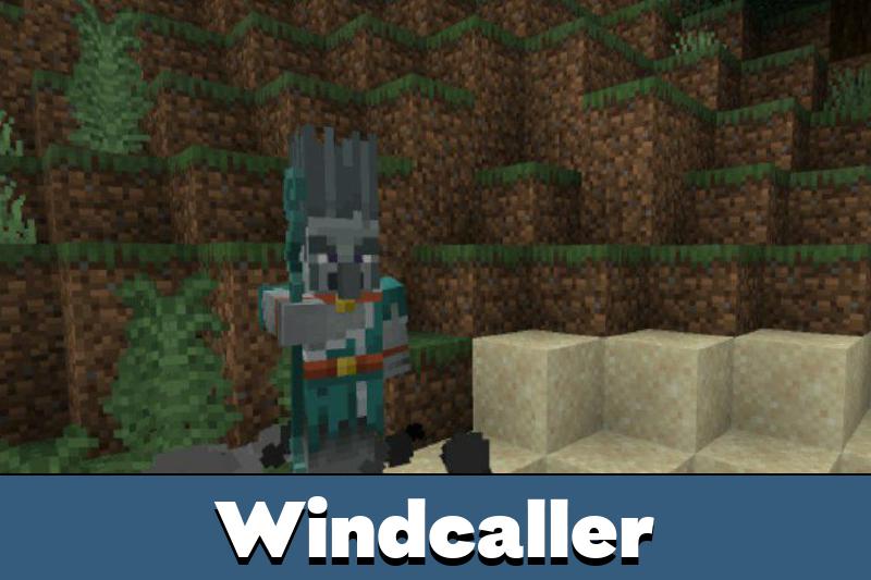Wind 3