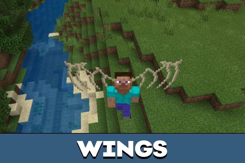 Fly 1