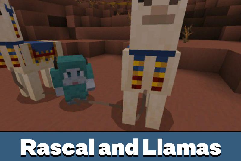 Rascal 5