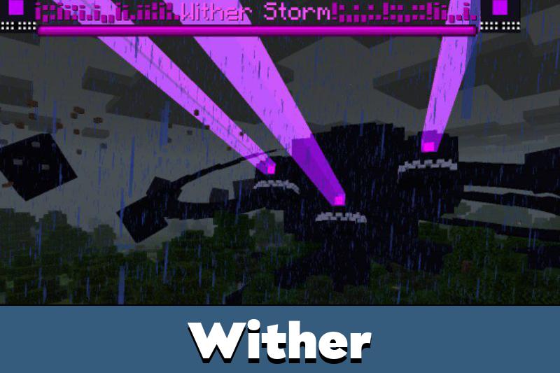 Storm 5