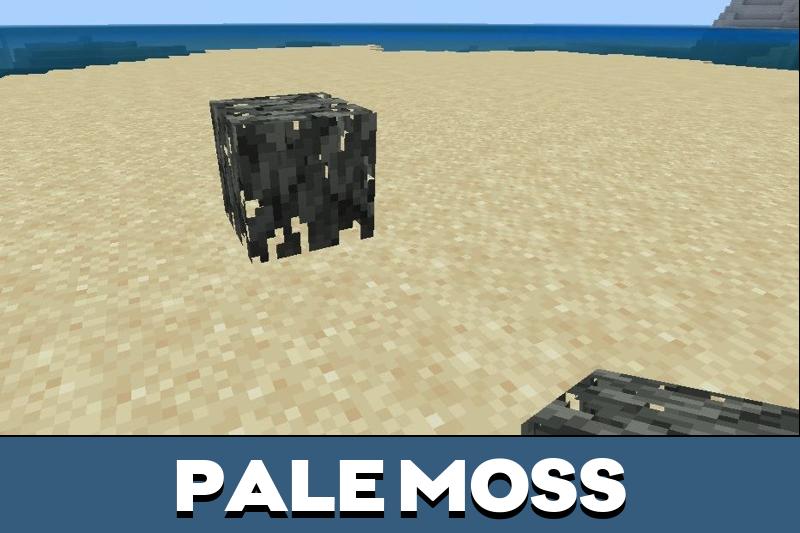Minecraft 1.21.80.27 4
